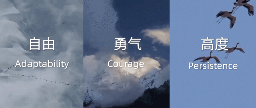图片 1.gif
